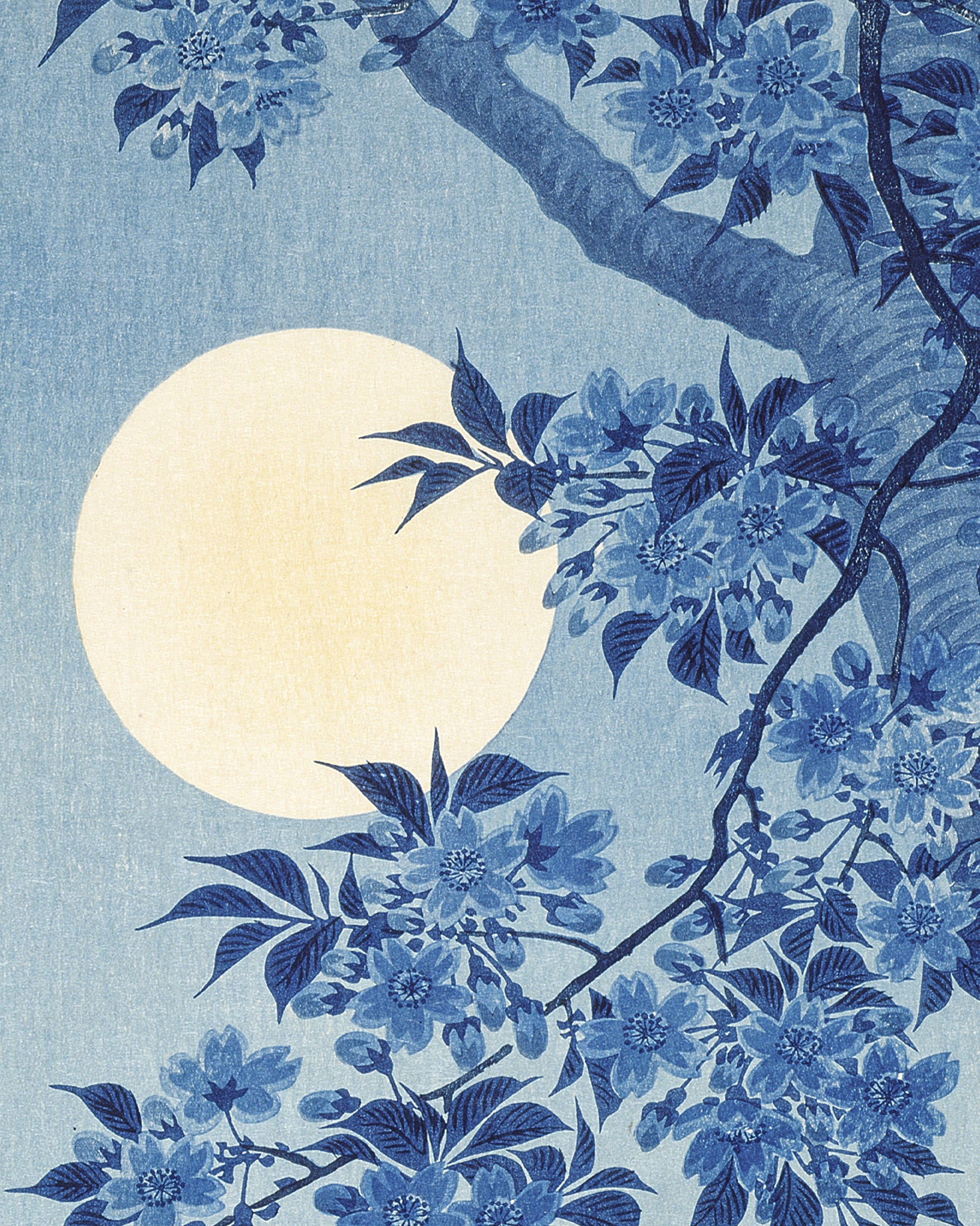 Cerejeira Florescendo em uma Noite Iluminada pela Lua, Ohara Koson Poster