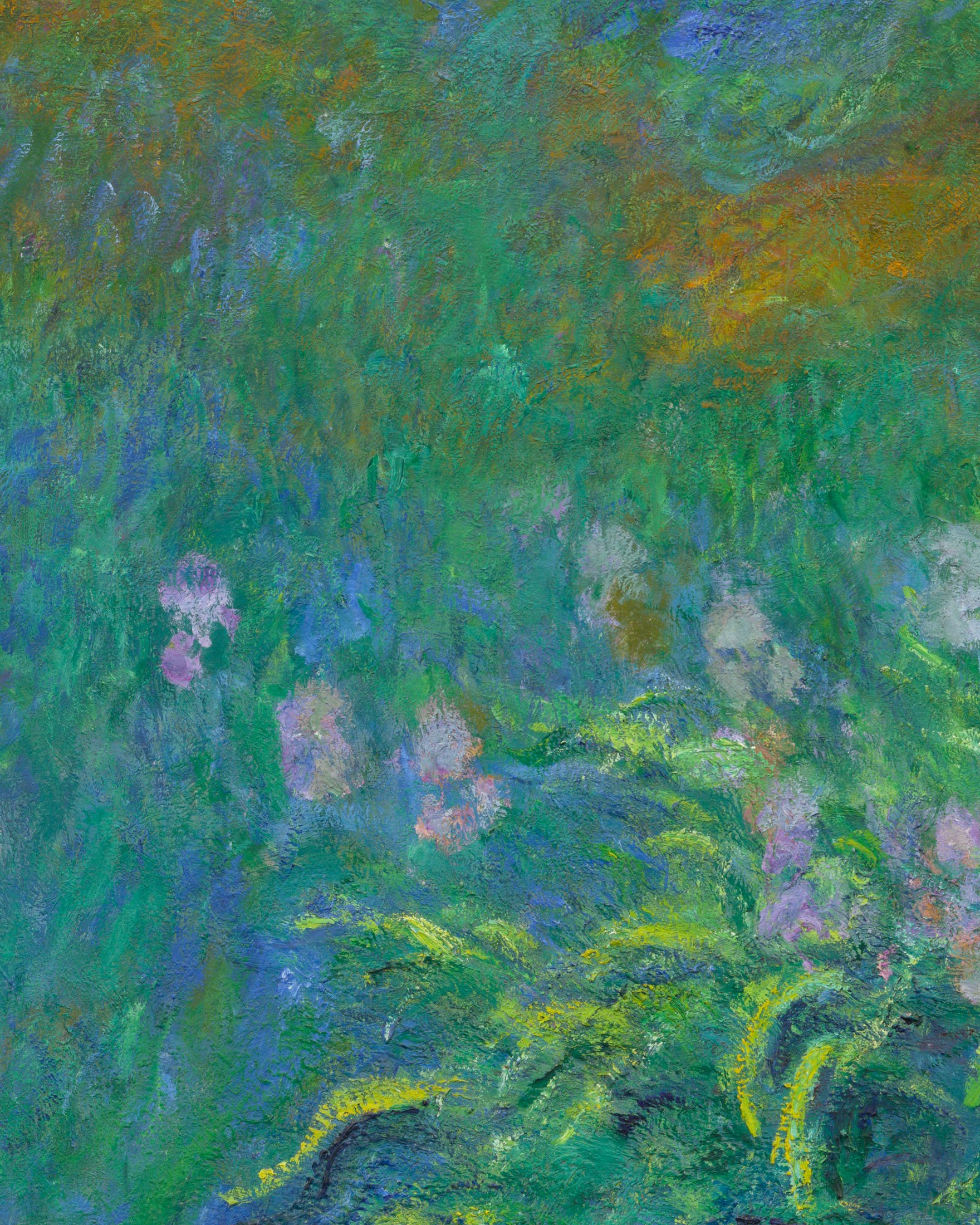 Claude Monet Íris - Stampe