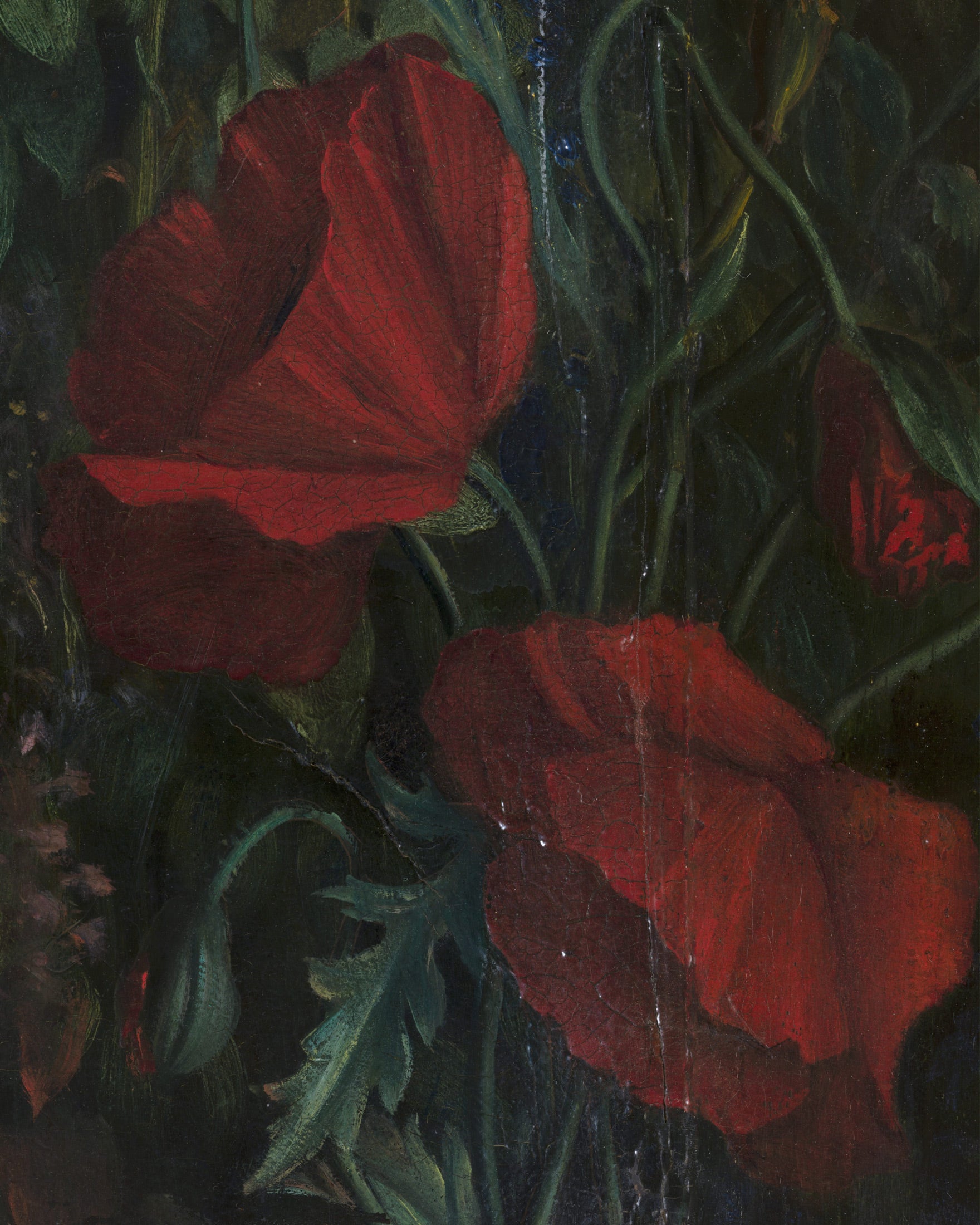 Louis Janmot "Fleur des Champs" Detalhe da Mão - Impressão de Arte Tulipas Vermelhas Poster