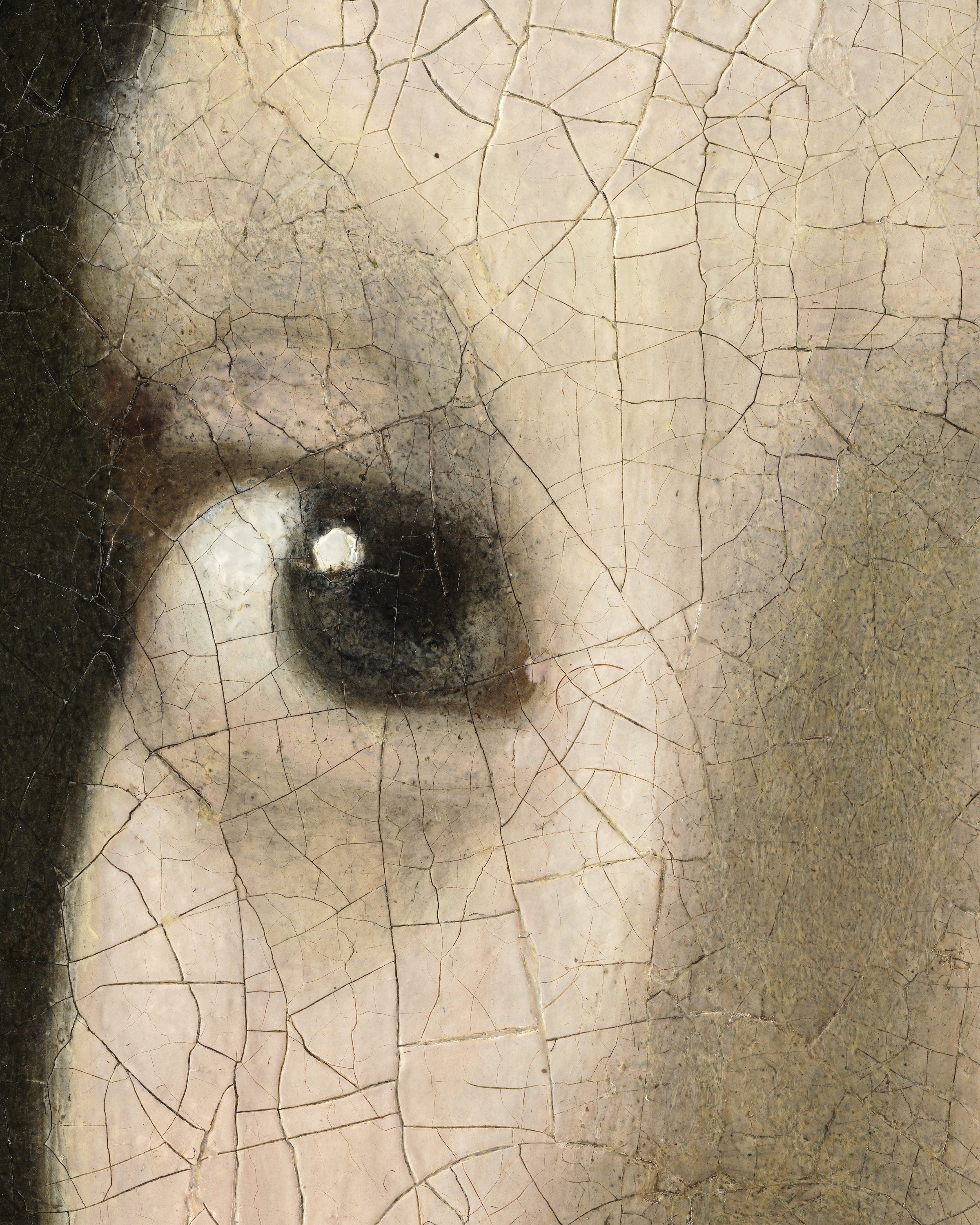 O Olhar - Os Olhos da Moça com Brinco de Pérola de Vermeer - Pôster