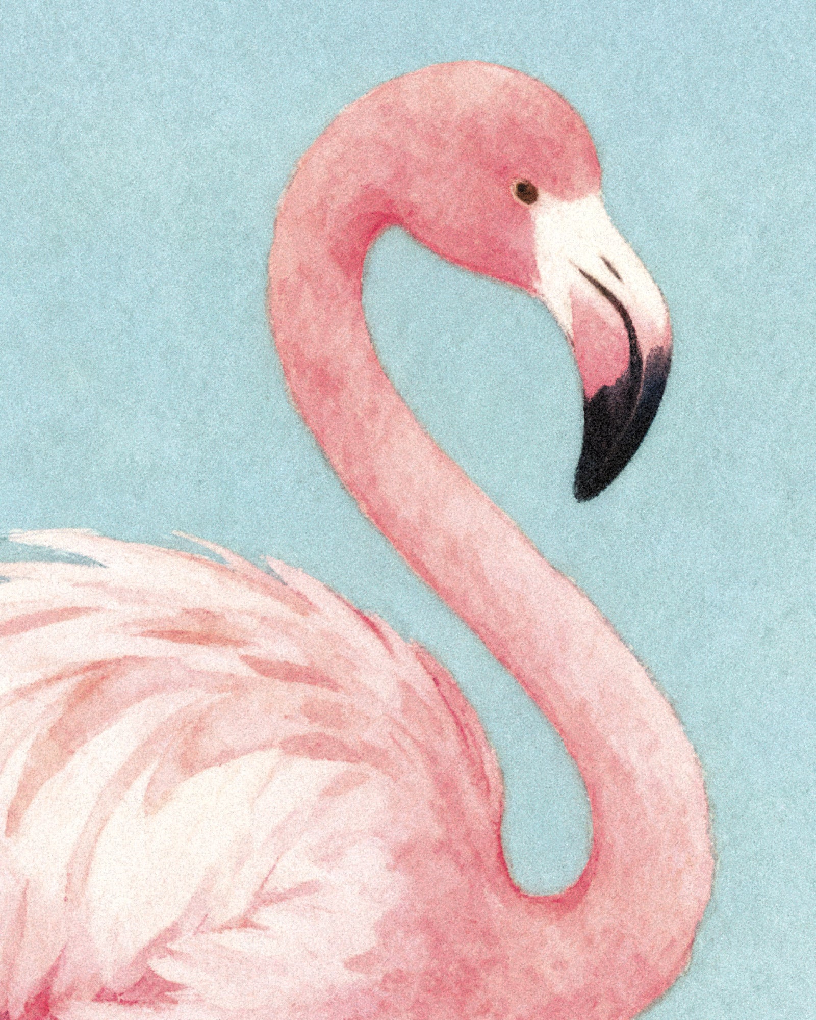 Pink flamingo illustration on a light blue background
